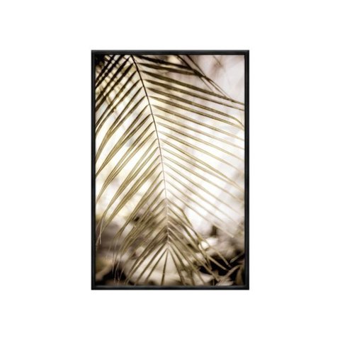 Quadro Decorativo - Folha Palmeira Flnt063 - Vidro com Impressão Uv - 80x60cm