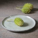 Ver imagem 2 de CONJUNTO C/ 6 PRATOS DE SOBREMESA BIO PISTACHE Ø 21,5cm