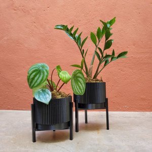 Kit de vasos Linhas - com pratinho e tripé - Preto