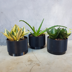 Kit de vasos Linhas - com pratinho e tripé - Preto - 2