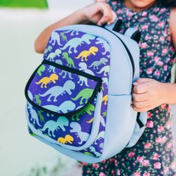 Mochila Infantil Bolsa Pequena Passeio 22x25 Dinossauro - 4
