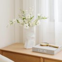 Ver imagem 2 de Vaso em Ceramica Branco Decorativo 40x20x20cm