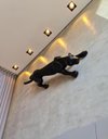 Ver imagem 4 de Escultura Estátua Decorativa Pantera Ataque Gigante 55cm:preto Fosco