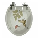 Ver imagem 1 de Assento Sanitário Universal Azalea Softclass Policlass