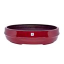 Ver imagem 1 de Vaso Bacia Osaka Vermelho Lira M 11,5x44X36 cm - D’Rossi