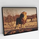 Ver imagem 1 de Quadro Decorativo em Canvas Leão Predador - Moldura Preta - 90 x 60cm