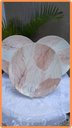 Ver imagem 1 de Prato Raso Rosé 28 Cm Tramontina 06 Unid em Porcelana