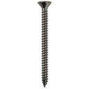 Ver imagem 1 de Parafuso Inox Auto Atarraxante Chata Phillips Stein 4,8x50 Caixa com 100 Peças