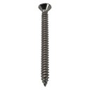 Ver imagem 2 de Parafuso Inox Auto Atarraxante Chata Phillips Stein 4,8x50 Caixa com 100 Peças