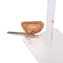Ver imagem 3 de Porta Toalha de Bancada para Lavabo em Acrílico com Borboleta em Pedra Ágata