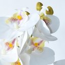 Ver imagem 2 de Arranjo 2 Orquídeas Artificiais em Vaso Cobre Anita