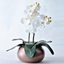Ver imagem 1 de Arranjo 2 Orquídeas Artificiais em Vaso Cobre Anita