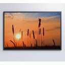 Ver imagem 7 de Quadro por do Sol Decor&quadros Nat030