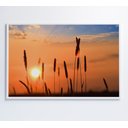 Ver imagem 1 de Quadro por do Sol Decor&quadros Nat030