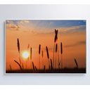 Ver imagem 4 de Quadro por do Sol Decor&quadros Nat030