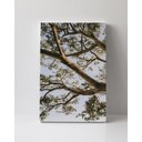 Ver imagem 1 de Tela em Canvas 110