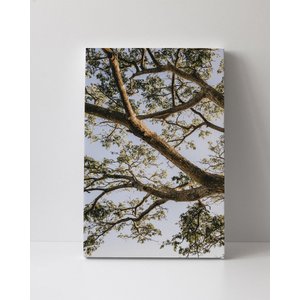 Tela em Canvas 110