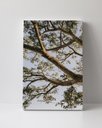 Ver imagem 1 de Tela em Canvas 110