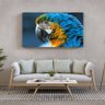Quadro Decorativo Tela Canvas Animas Arara  - 100x70 cm - 1