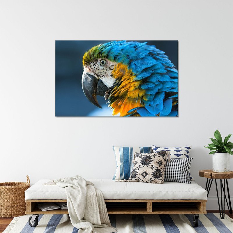Quadro Decorativo Tela Canvas Animas Arara  - 100x70 cm - 5