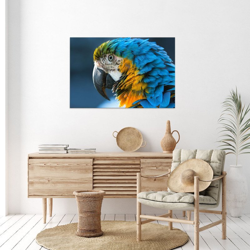 Quadro Decorativo Tela Canvas Animas Arara  - 100x70 cm - 4