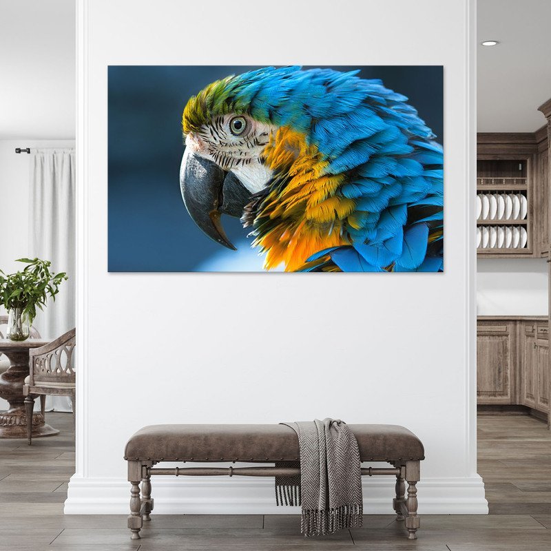 Quadro Decorativo Tela Canvas Animas Arara  - 100x70 cm - 3