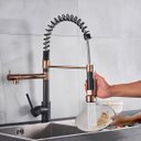 Ver imagem 2 de Torneira Cozinha Gourmet Monocomando Rose com Preto