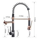 Ver imagem 4 de Torneira Cozinha Gourmet Monocomando Rose com Preto