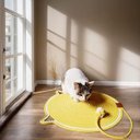 Ver imagem 7 de Tapete Arranhador Cama Gato Rasqueavel Pet Animais Estimacao Confortavel Divertida Relaxante Anti Es