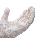 Ver imagem 4 de Escultura Decorativa Mãos em Poliresina Branco 17x10 cm - D’Rossi