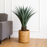 Folhagem Agave Plt. X48 (verde) 90cm - 1