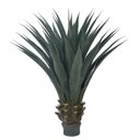 Ver imagem 2 de Folhagem Agave Plt. X48 (verde) 90cm