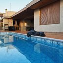 Ver imagem 3 de Escultura Decorativa Estátua Pantera Bebendo Água Piscina 102cm:preto Fosco