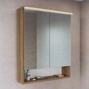 Ver imagem 1 de Armário Espelheira para Banheiro com 2 Portas e Iluminação LED Marrom/Mel