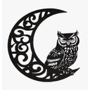 Ver imagem 1 de Lua com Coruja:preto