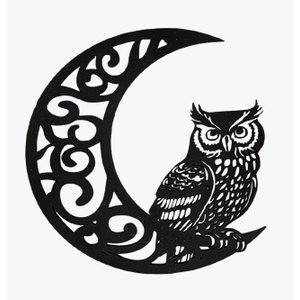 Lua com Coruja:preto