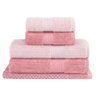 Jogo Toalhas Banhão Buddemeyer 5p Fio Penteado Rosa 0133 - 1