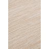 Tapete Sala Sisal 250x350 Siena Bege 04 - 4