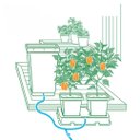 Ver imagem 2 de Kit Easy2grow para Plantio com Tanque 47 Litros Autopot