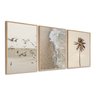 Kit 3 Quadros Decorativos Praia Mar Coqueiro Pássaros Boho Bege - 1