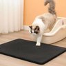 Tapete Limpa Patas P/gatos - Anti Sujeira Coletor Areia Pet - 6