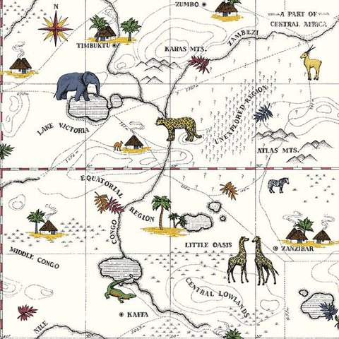 Papel de Parede Dzmd-9091 Mapa Safari