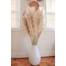 Kit 10 Capim Dos Pampas Plumas Grandes Natural Arranjos - 3