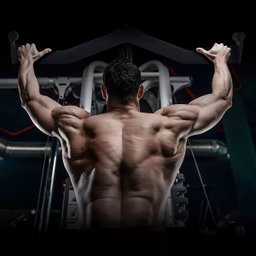 Puxador Anatomico Emborrachado 5 Uni Academia Musculaçao Costas Braço Musculo Remada Treino Biceps T - 12