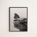 Ver imagem 1 de Quadro Decorativo Gato Com Borboleta 24x18cm - com vidro:Madeira branca