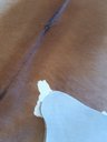 Ver imagem 3 de Tapete de Couro Pele Pequena Bezerro (nonato) Bege Jersey