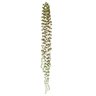 Folhagem Pendente Suculenta Sedum Plastico X6 (verde) 75cm - 1