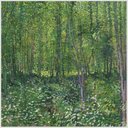 Ver imagem 2 de Quadro Van Gogh Trees And Undergrowth Tela No Chassi 80X80Cm