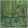 Quadro Van Gogh Trees And Undergrowth Tela No Chassi 80X80Cm - 2