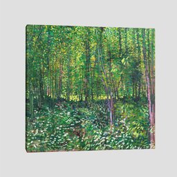 Quadro Van Gogh Trees And Undergrowth Tela No Chassi 80X80Cm - 1